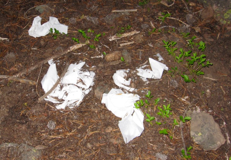 toilet paper Human waste and TP on the trail to Mt. Elbert found this summer.