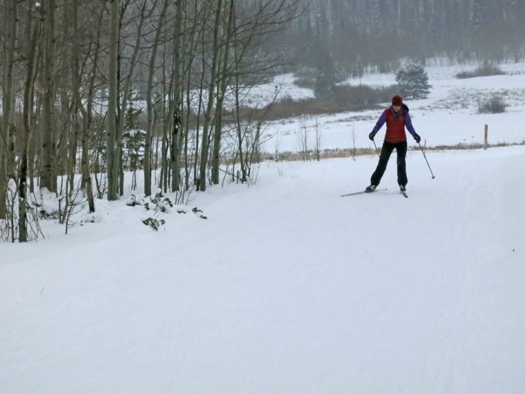 Skate-skiing-for-web