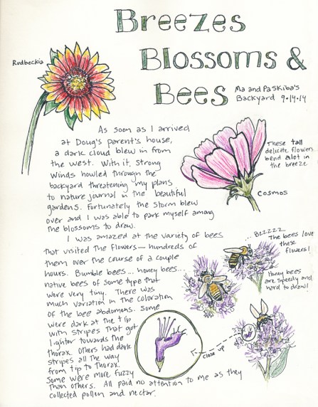 The results of some much needed rest and relaxation: a sketch sketch in my nature journal.