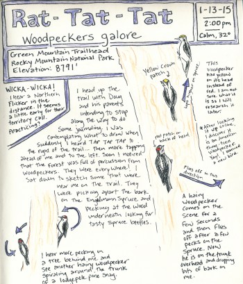 Since I could barely walk after my day of telemark skiing, I opted to sit down and sketch in my nature journal for one day of the trip.